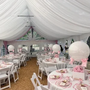 20x20 Tent With Draping