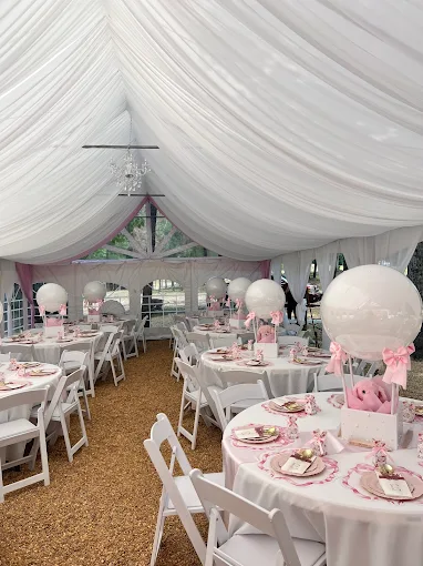 20x20 Tent With Draping