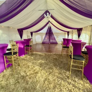 20x50 Tent With Draping